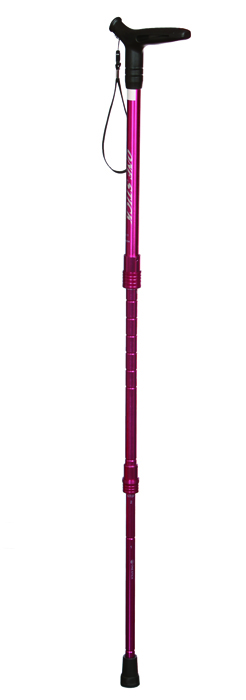 ���ο뺸���