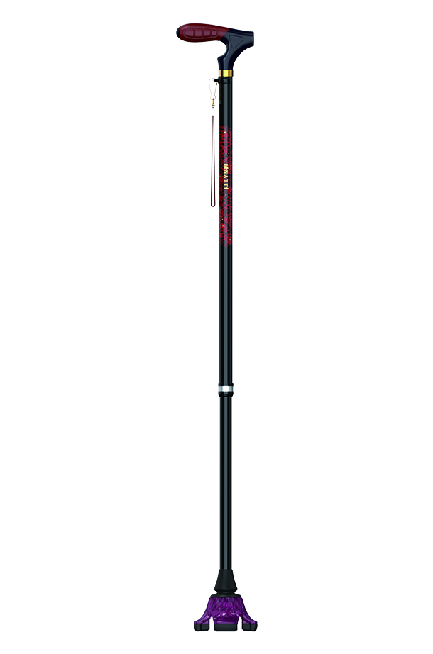 ���ο뺸���