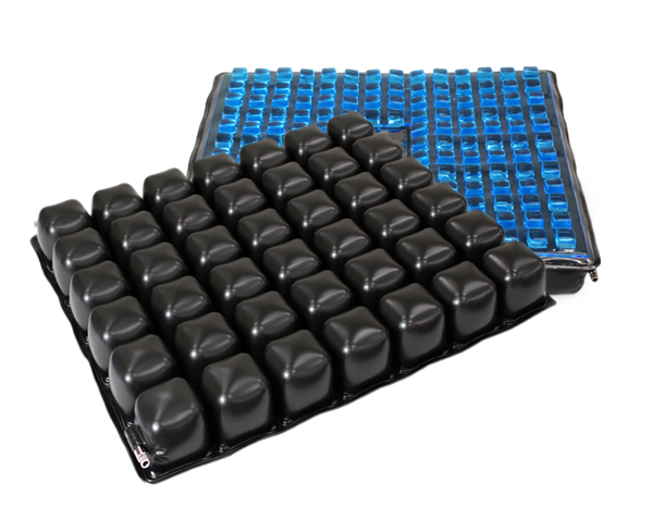 Ʈ����Ƽ����