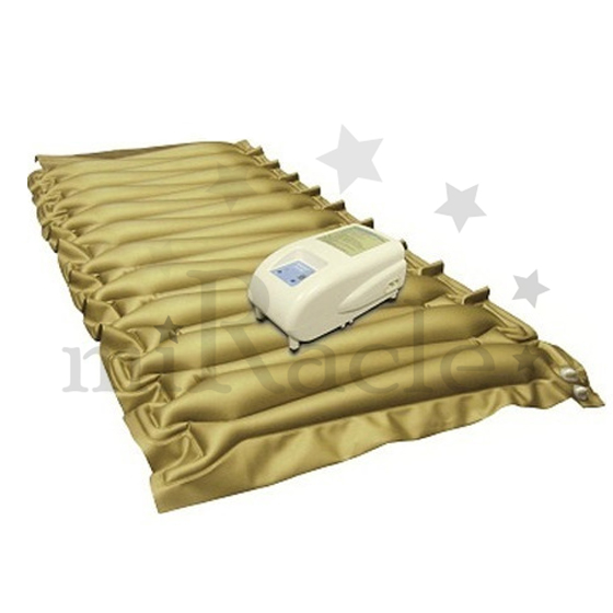 ���ο뺸���