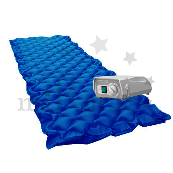 ���ο뺸���