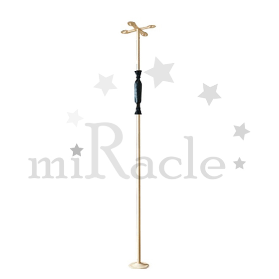 ���ο뺸���