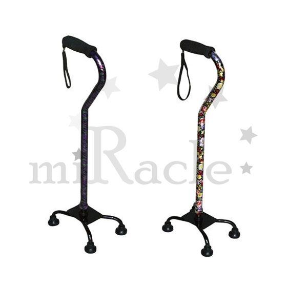 ���ο뺸���