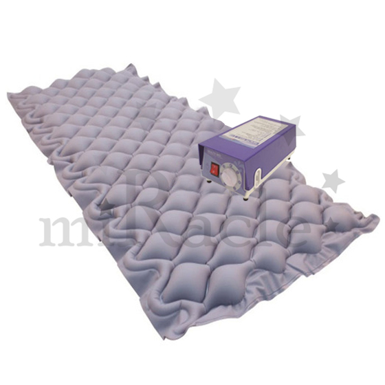 ���ο뺸���