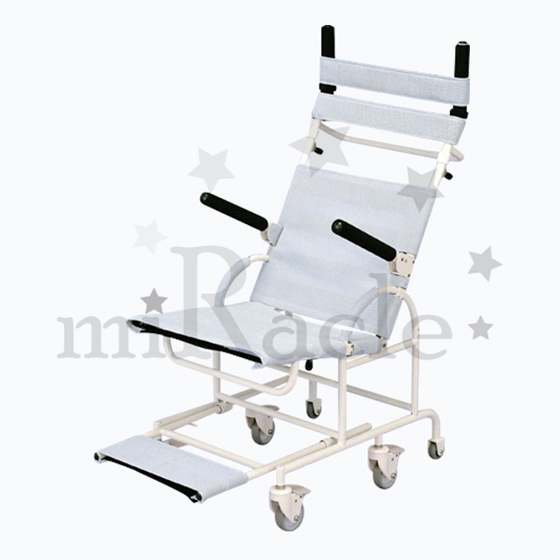 ���ο뺸���