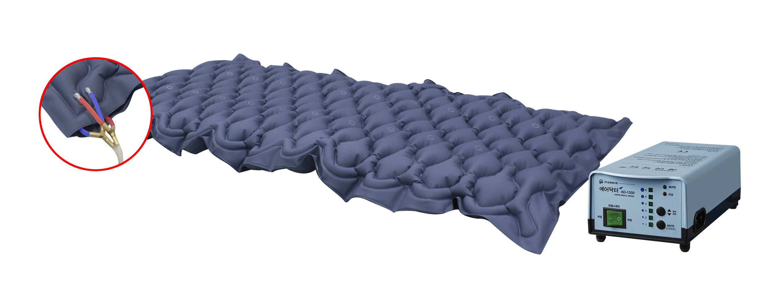 ���ο뺸���