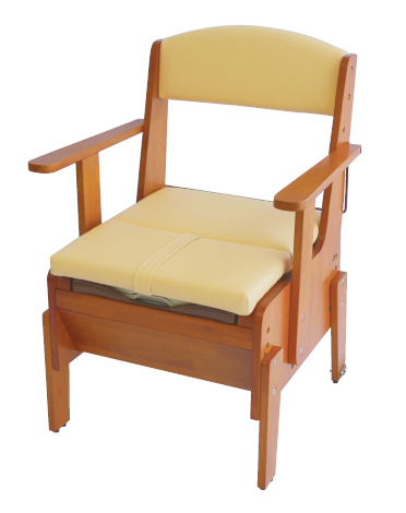 ���ο뺸���