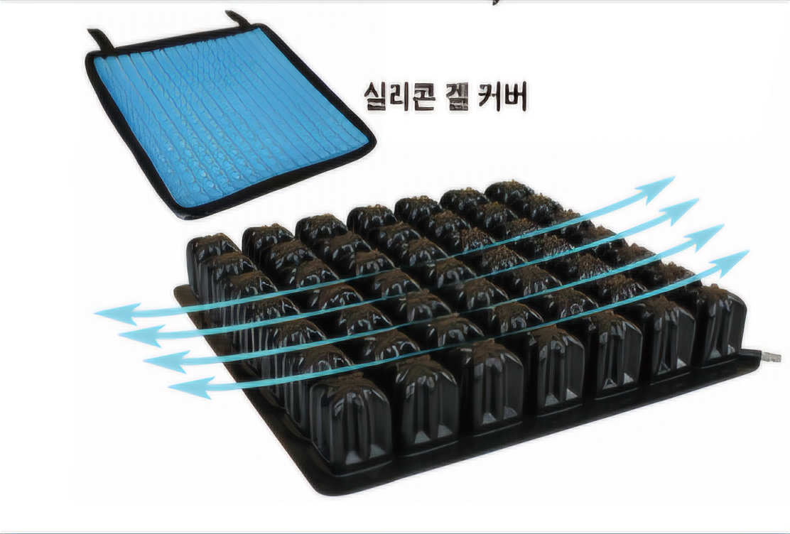 ���ο뺸���