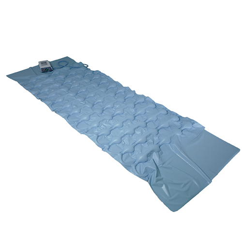 ���ο뺸���