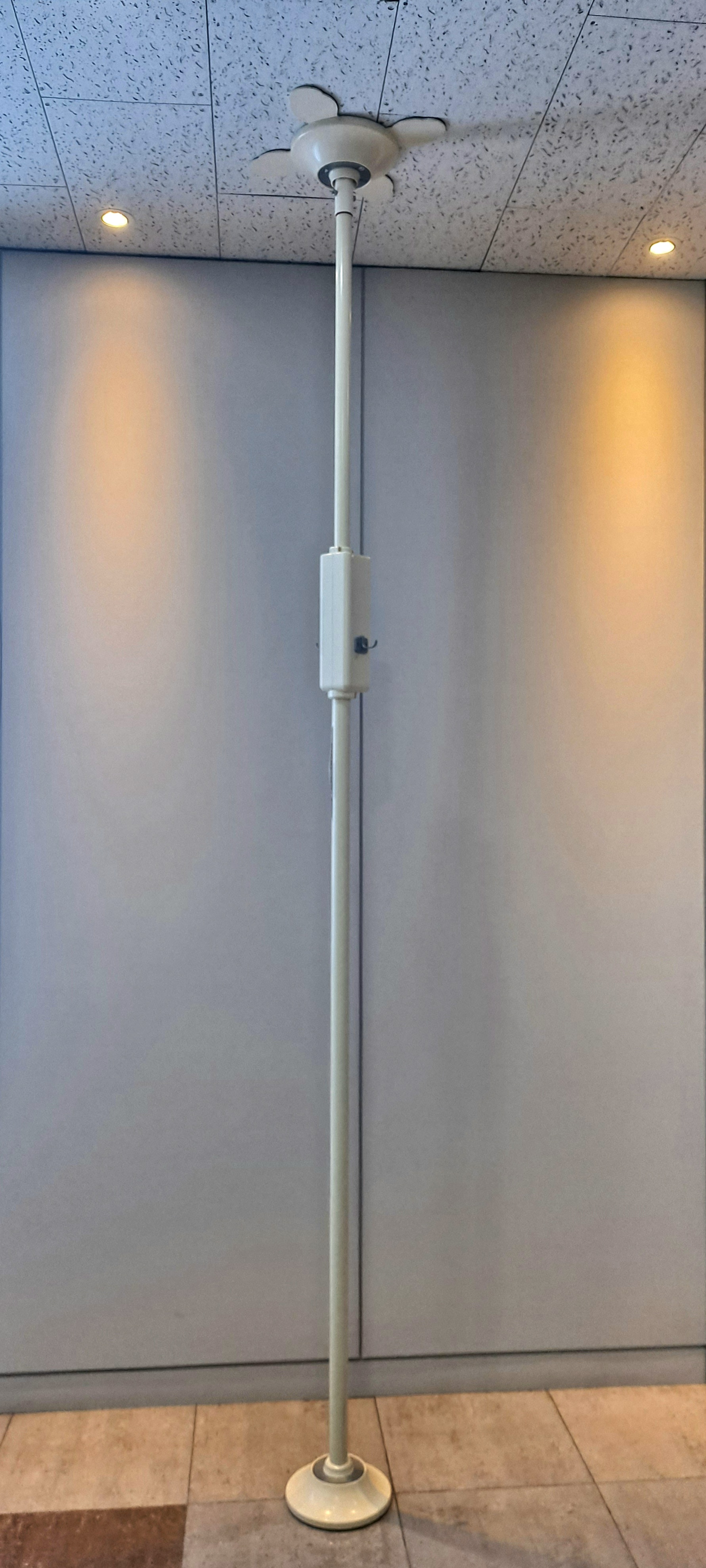 ���ο뺸���